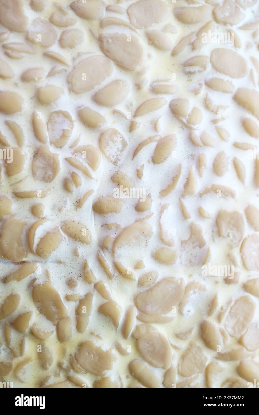 Gros plan texture de tempeh, une graine de soja fermentée Source de haute protéine et fibre pour le régime à base végétale Banque D'Images