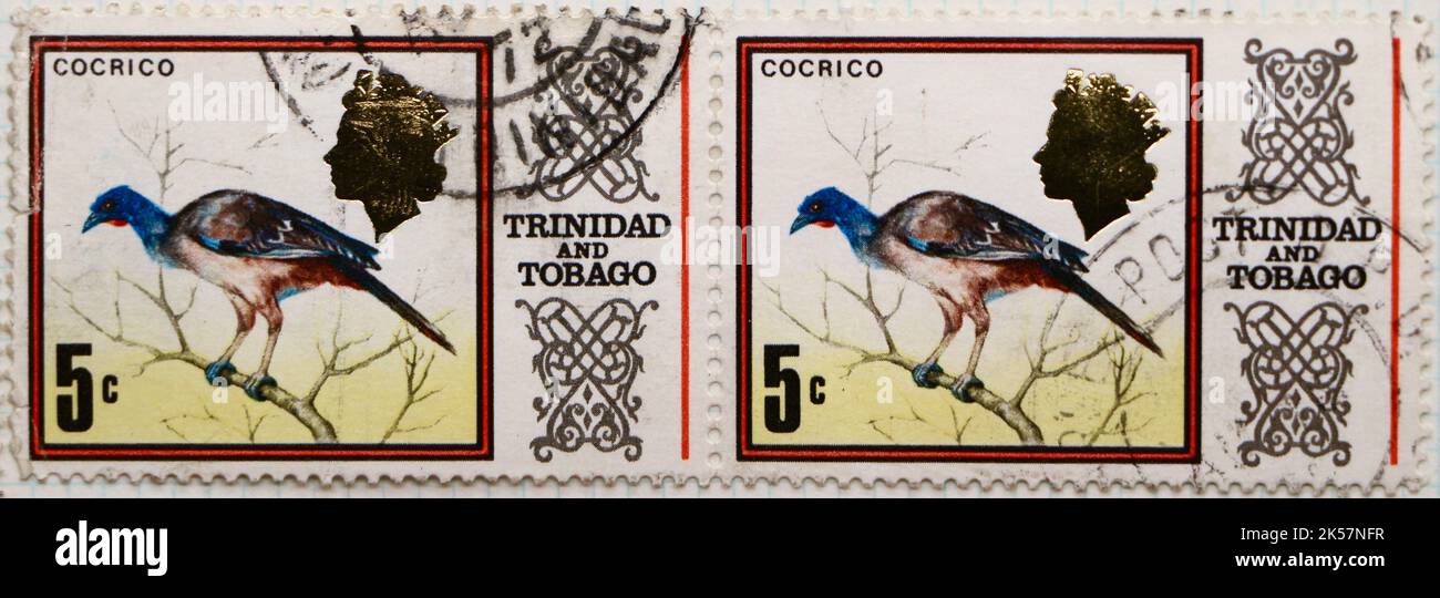 Photo de deux timbres-poste joints de Trinité-et-Tobago avec une illustration d'une série Cocrico Ortalis ruficauda Pictorial Definitifs 1969-1976 Banque D'Images