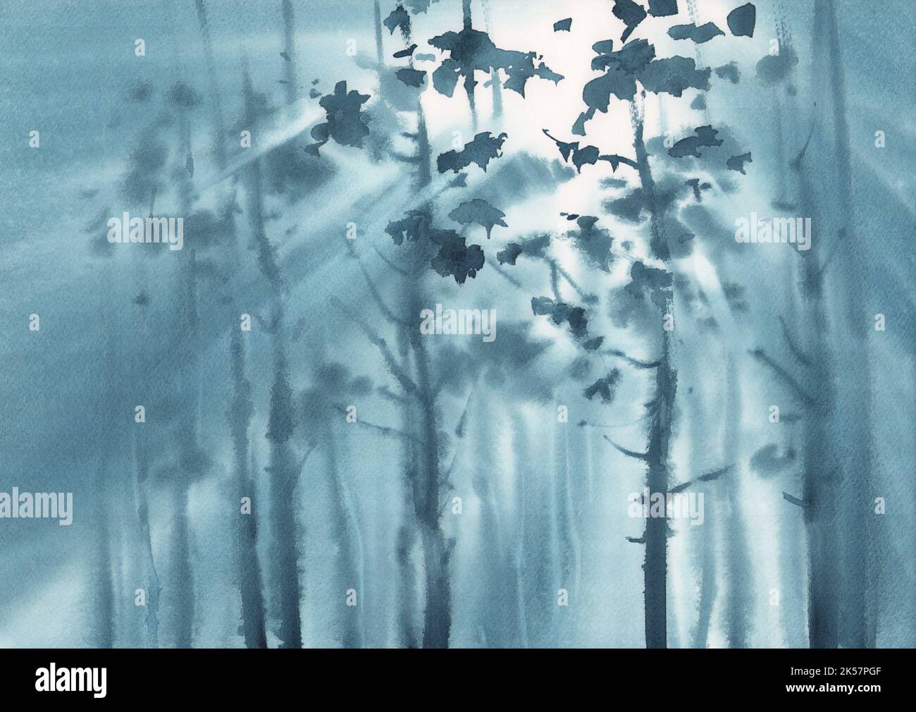 Forêt de pins sur fond d'aquarelle brumeuse Banque D'Images