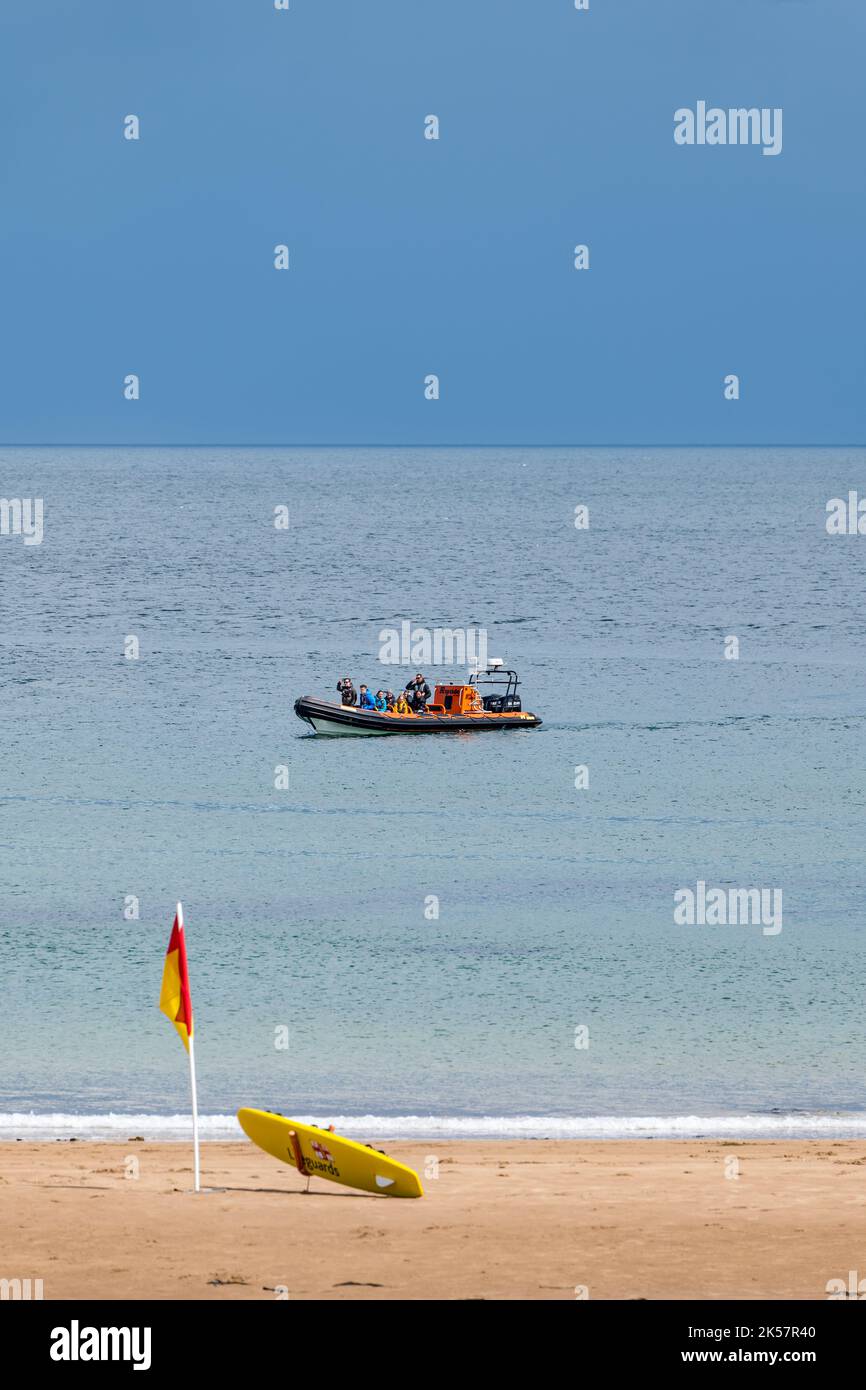 Touristes dans un bateau gonflable rigide en été, près de la plage avec le drapeau du maître-nageur Coldingham Bay, Berwickshire, Écosse, Royaume-Uni Banque D'Images