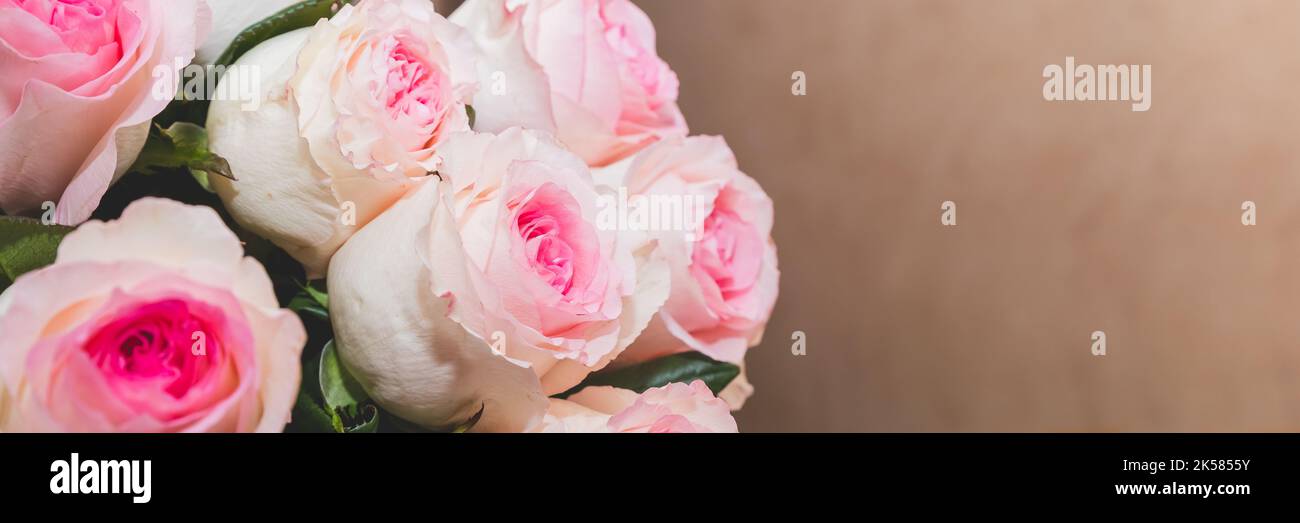 Rose blanc Rose O'hara. Un bouquet de roses roses roses. Cadeau pour la Saint-Valentin.branche de roses sur fond flou. Vacances, carte de vœux. Espace de copie Banque D'Images