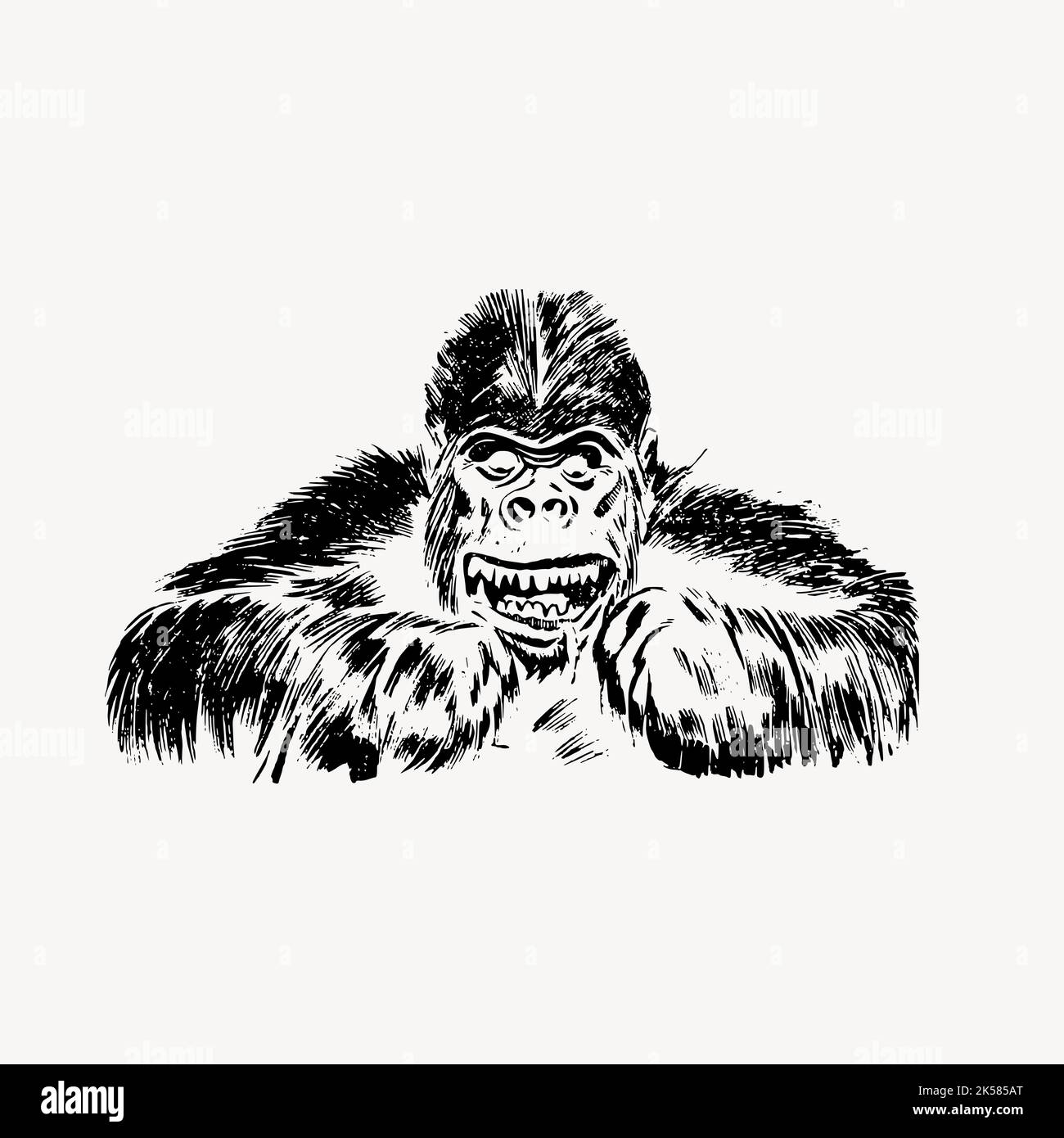 Gorilla dessin clipart, animal vintage, vecteur d'illustration de la faune. Illustration de Vecteur