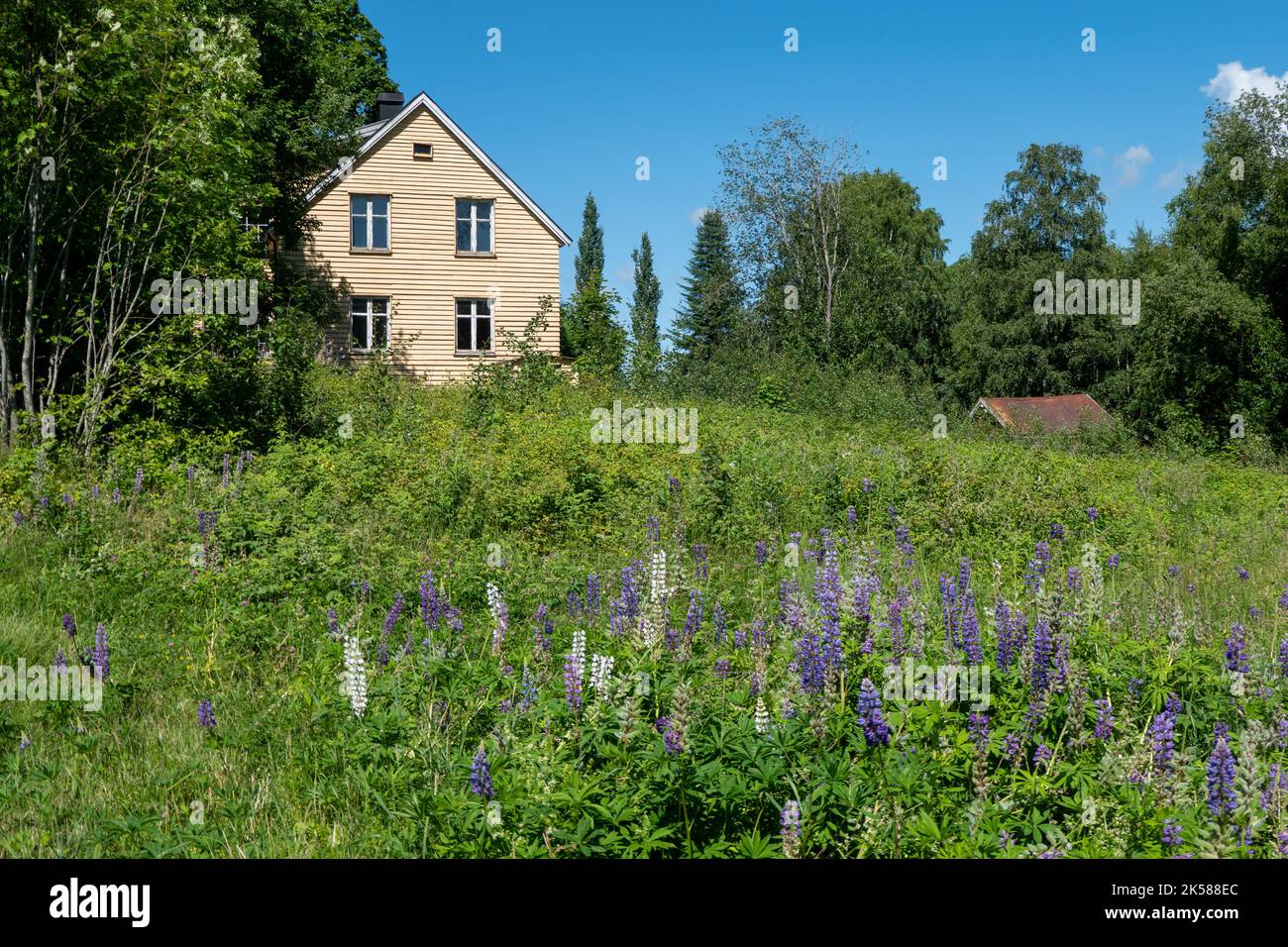 chalet en bois ou stabur dans la campagne de Norvège Banque D'Images