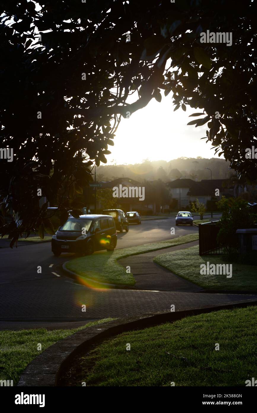 Lever du soleil sur une route droite avec un arbre. Banque D'Images