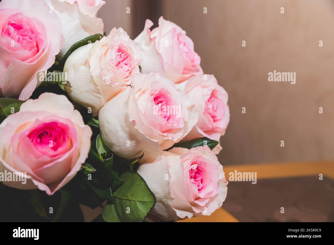 Rose blanc Rose O'hara. Un bouquet de roses roses roses. Cadeau pour la Saint-Valentin.branche de roses sur fond flou. Vacances, carte de vœux. Espace de copie Banque D'Images