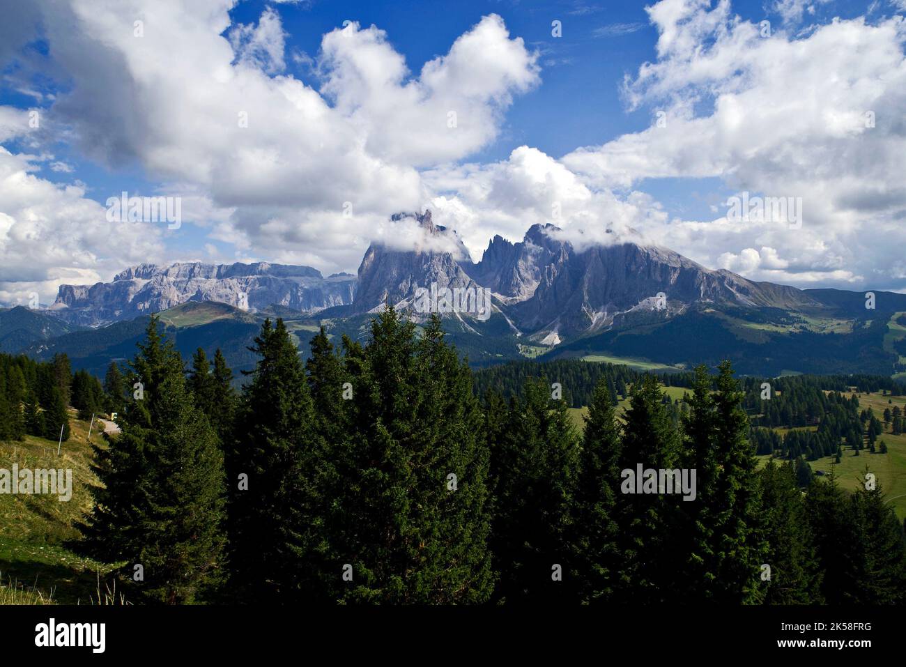 Alpe di Siusi Banque D'Images
