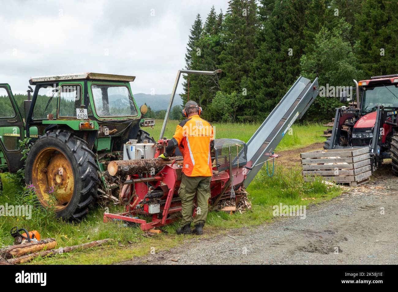 Homme travaillant avec une grosse scie derrière un tracteur dans une forêt en Norvège Banque D'Images