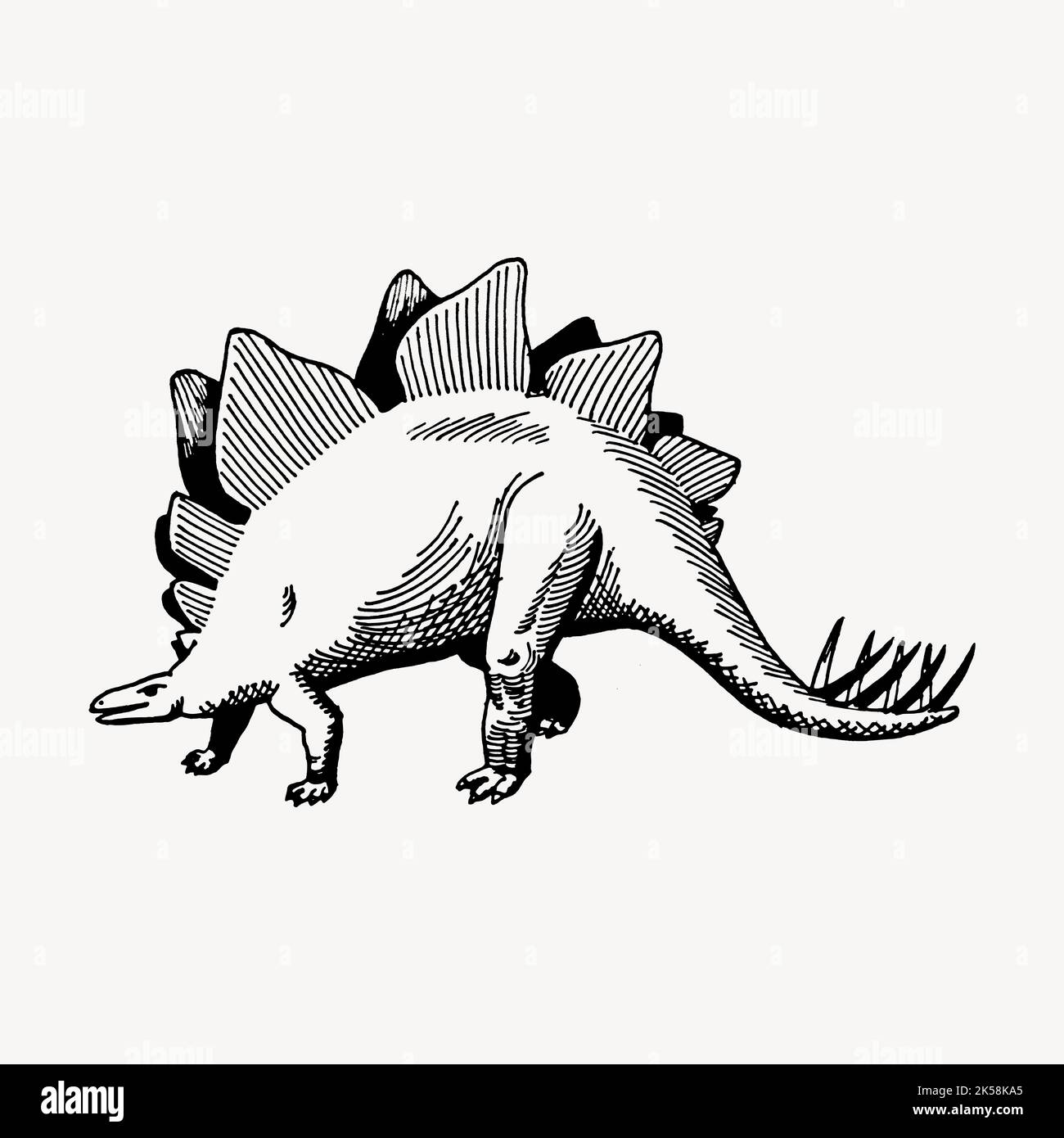 Dessin de dinosaure, vecteur d'illustration d'animal vintage. Illustration de Vecteur