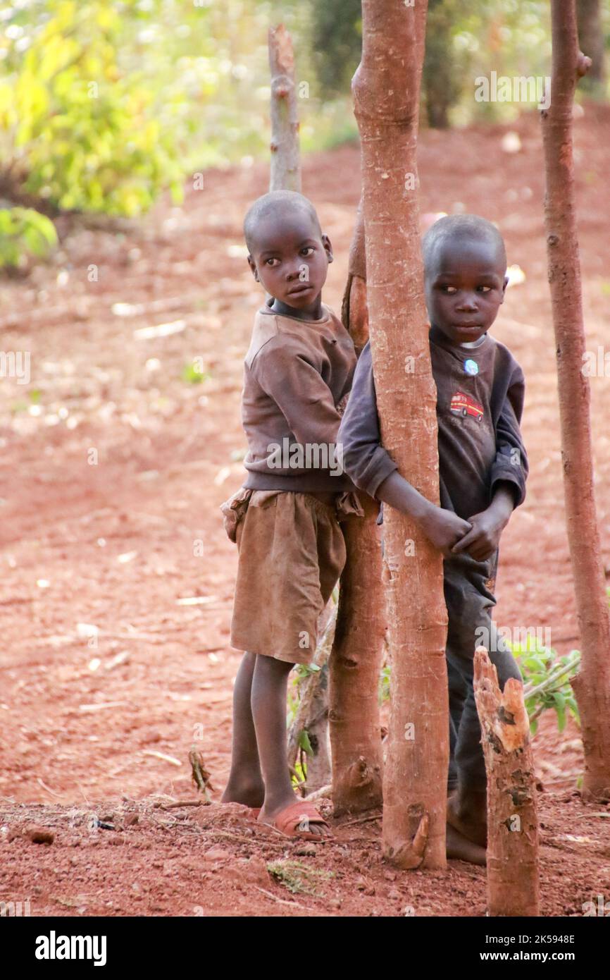 Au sanctuaire du tambour de Gishora dans le parc national de Kibera, Gitega, Burundi Banque D'Images