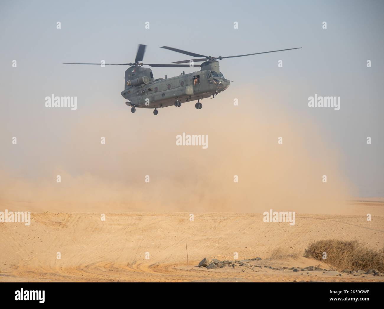 United Arab Emirates Presidential Guard CH-47 Chinook se prépare à atterrir pendant l'exercice Intrepid Maven 22,4 aux Émirats arabes Unis, le 25 septembre 2022. Intrepid Maven 22,4 est une série d'engagement du Commandement central des Forces maritimes des États-Unis conçue pour des engagements d'entraînement bilatéraux et multilatéraux avec les nations partenaires et les forces du corps des Marines. (É.-U. Photo du corps marin par Sgt. Jacob Yost) Banque D'Images