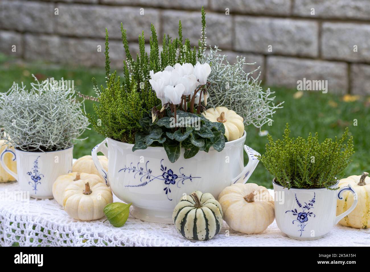 arrangement d'automne oral avec cyclamen blanc, plante de fil barbelé, arbuste veronica, bruyère et citrouilles blanches Banque D'Images