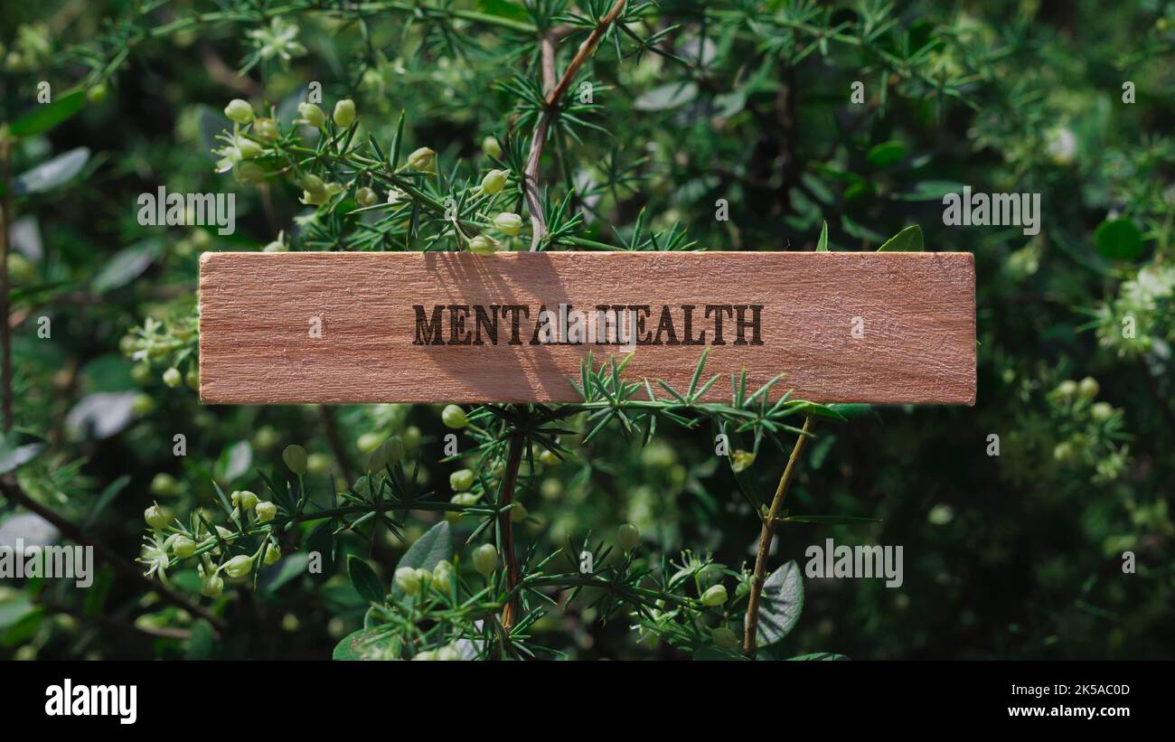 Santé mentale. Écrit sur un cadre en bois. Santé mentale et traitements Banque D'Images
