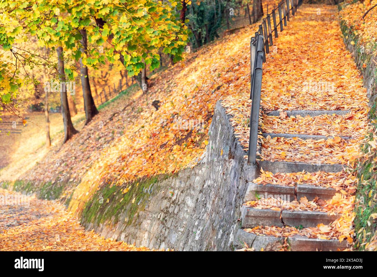 Allée déserte du parc et marches sur une pente de montagne couverte d'un tapis de feuilles jaunes tombées entourées de temples d'automne (attention sélective) Banque D'Images