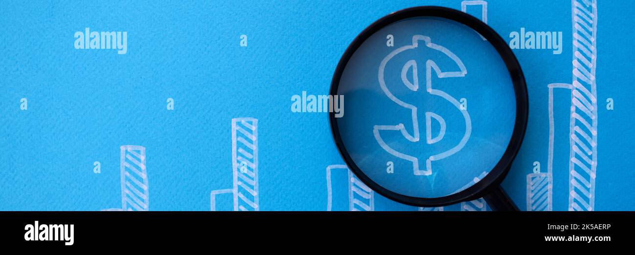 Graphique commercial avec icône dollar et arrière-plan bleu de l'objectif Banque D'Images