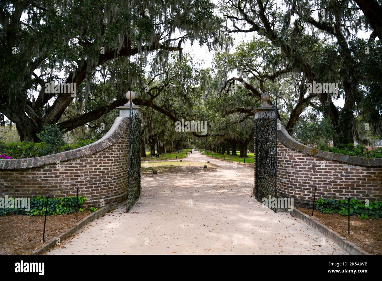 Porte à la plantation Boone Hall à Charleston SC USA Banque D'Images