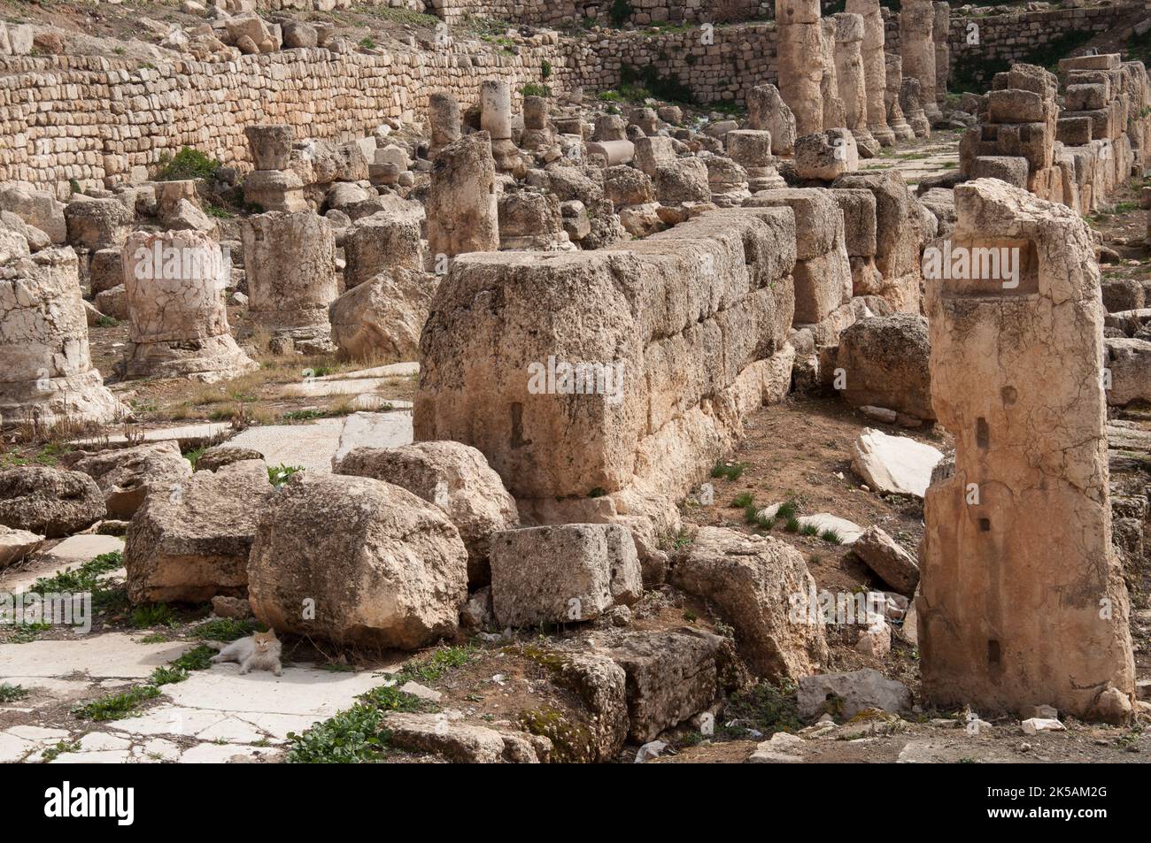 Temple de Vénus, vestiges romains, Baalbek, Liban Banque D'Images