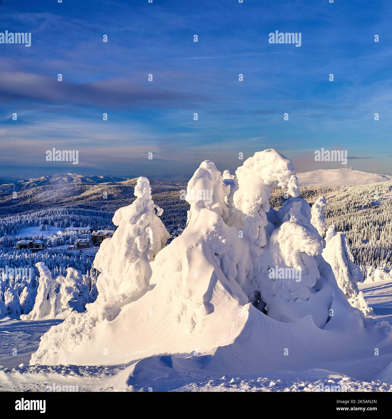 Une fantastique photo d'hiver de monstres de neige dans la station de montagne de Kopaonik en Serbie Banque D'Images