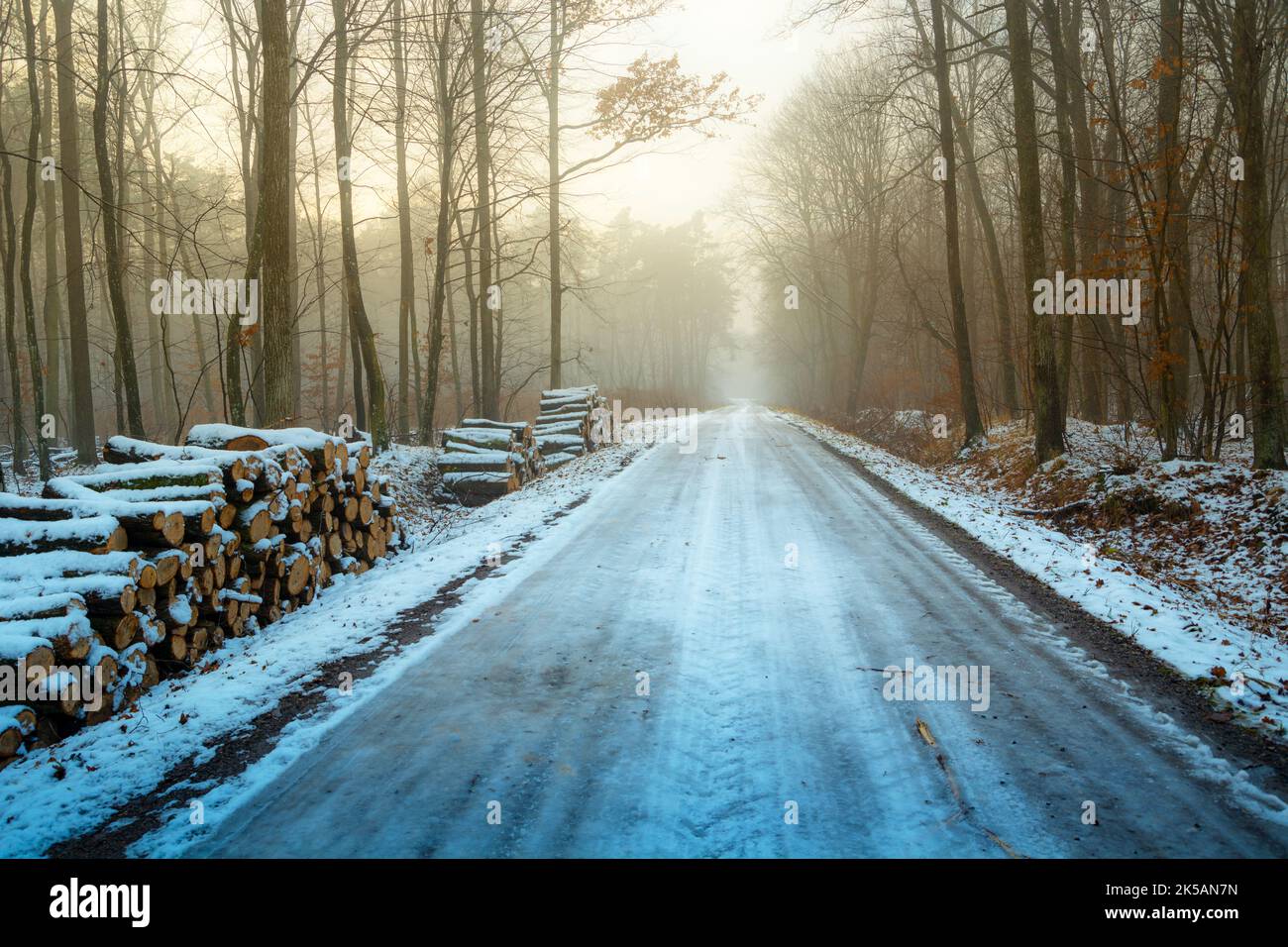 Route glacée à travers une forêt d'hiver brumeuse Banque D'Images