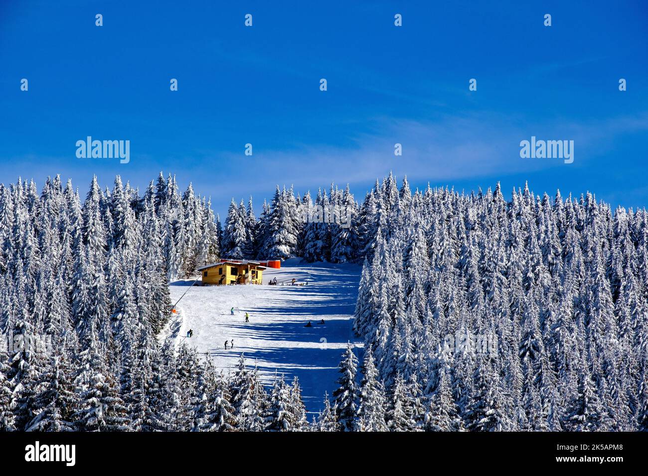 Une vue panoramique sur une station de ski sur la montagne Kopaonik couverte d'arbres par une journée ensoleillée Banque D'Images
