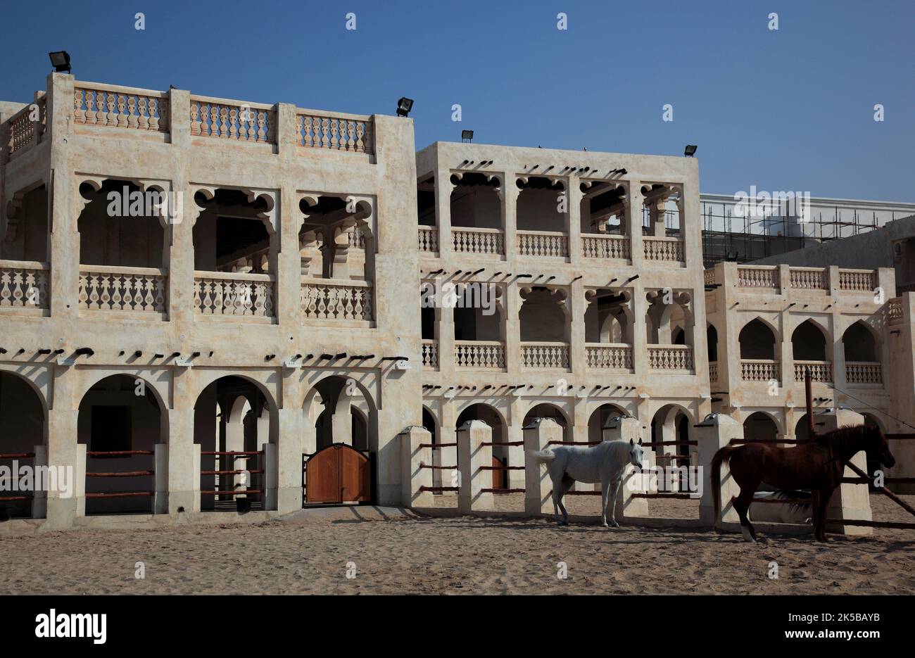 Araberpferde Zuchtställe à Al Jasra, Doha, Qatar, Katar Banque D'Images