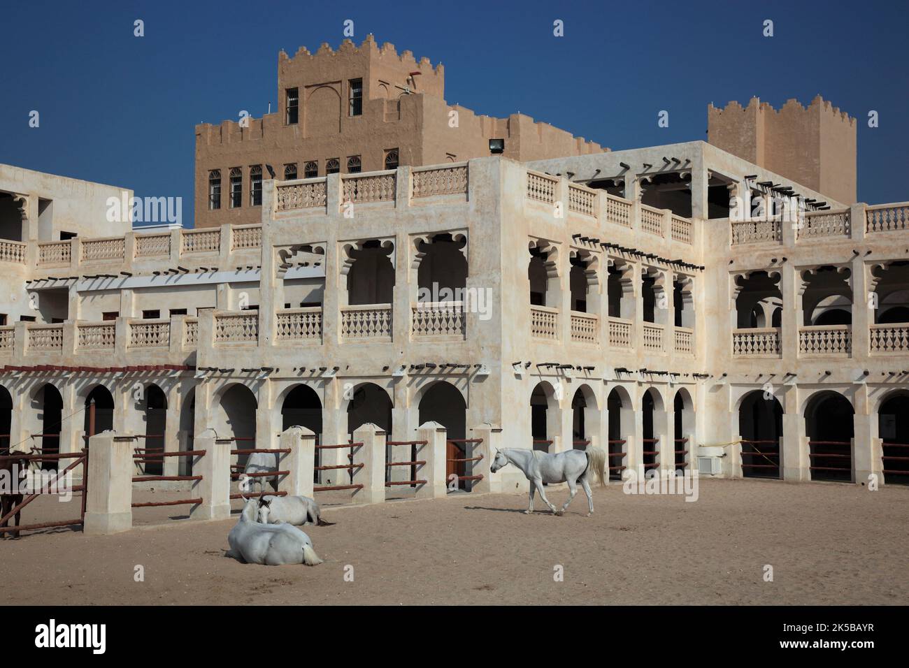 Araberpferde Zuchtställe à Al Jasra, Doha, Qatar, Katar Banque D'Images