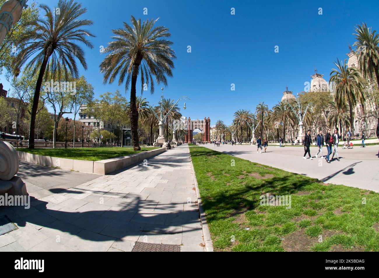 Belle journée de printemps dans l'Avenida Lluís Companys, près du parc de la Ciutadella, Barcelone, Ciutat Vella, Espagne Banque D'Images