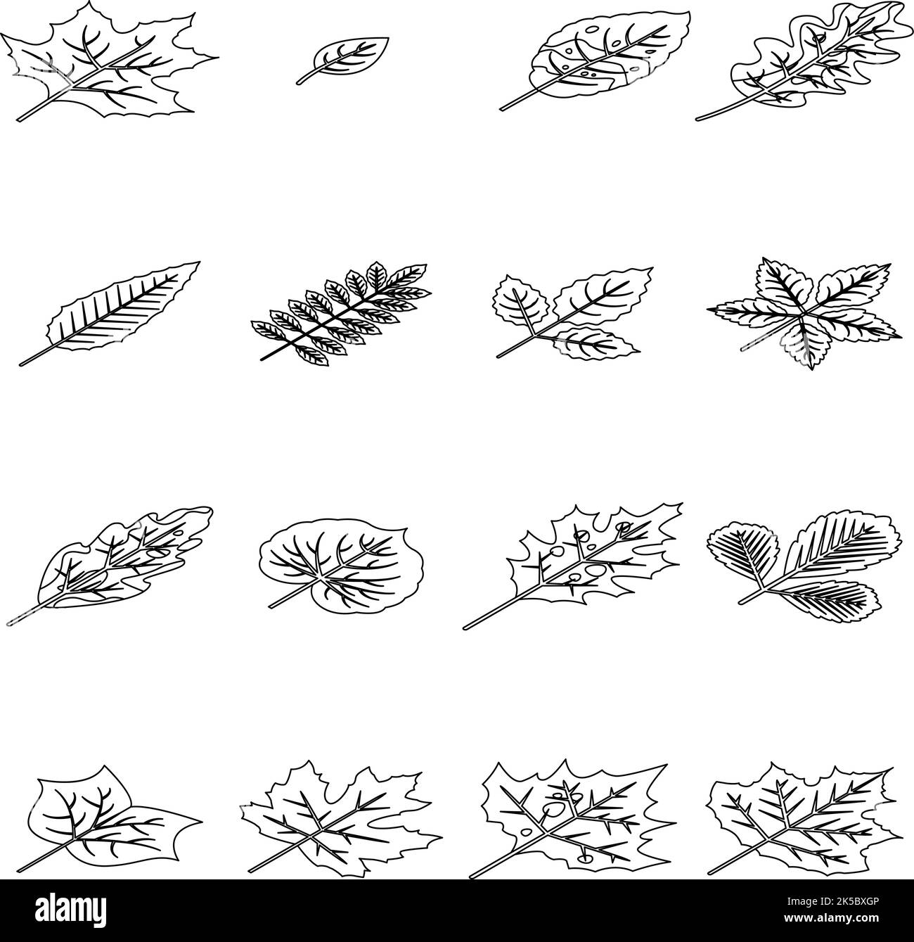 Jeu d'icônes de feuilles d'automne. Ensemble isométrique de feuilles d'automne vecteur icônes contour mince sur blanc isolé Illustration de Vecteur