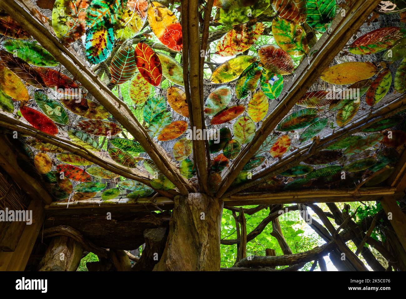 Toit en feuilles colorées dans une maison de jardin en bois, jardins de Furzey, Minstead, New Forest, Hampshire, Royaume-Uni en automne Banque D'Images