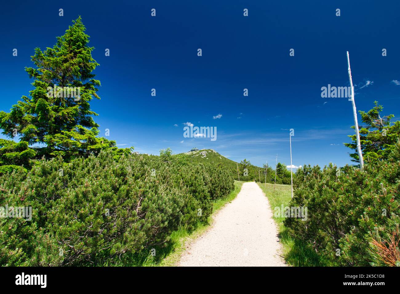 Un sentier de randonnée en montagne en été. Krkonose. République tchèque. Pologne. Banque D'Images Un sentier de randonnée en montagne en été. Krkonose. République tchèque. Pologne. Banque D'Images