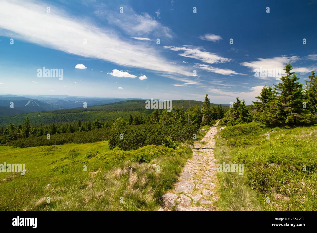 Un sentier de randonnée en montagne en été. Krkonose. République tchèque. Pologne. Banque D'Images Un sentier de randonnée en montagne en été. Krkonose. République tchèque. Pologne. Banque D'Images
