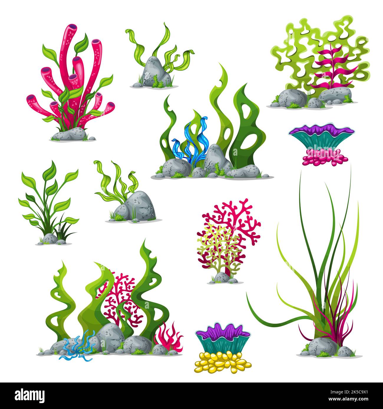 Ensemble de plantes sous-marines Banque D'Images