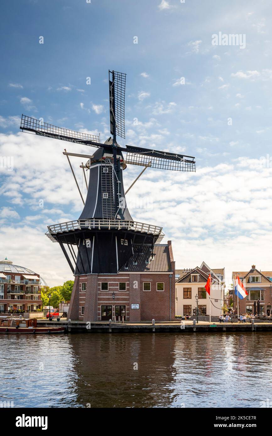 Moulin de Adriaan sur la rivière Spaarne à Haarlem, pays-Bas, Europe Banque D'Images