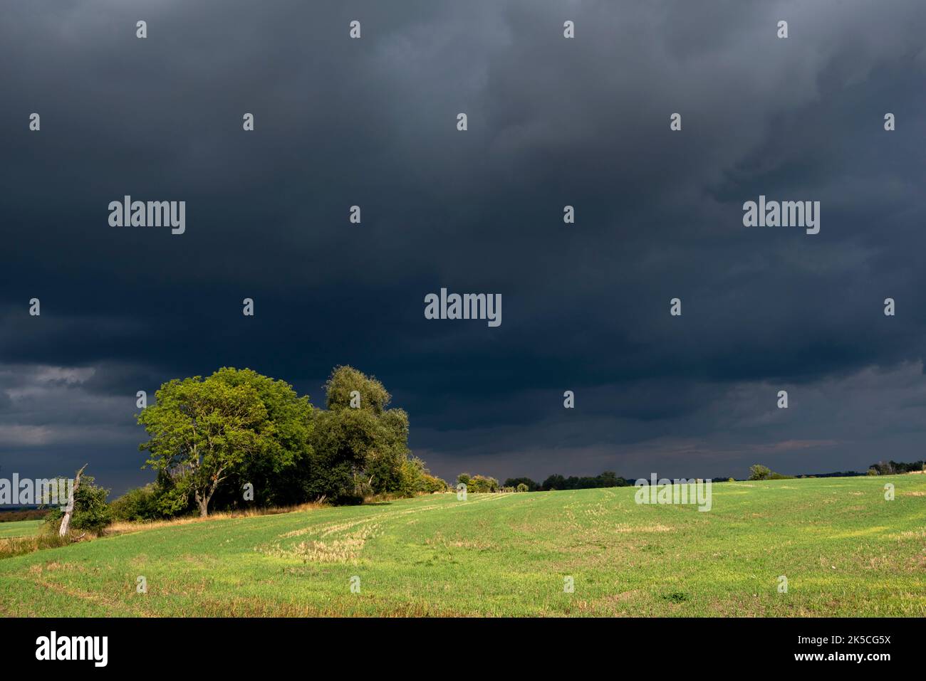 De sombres nuages de pluie passent au-dessus de la Fläming dans l'est de Saxe-Anhalt, Leitzkau, Saxe-Anhalt, Allemagne Banque D'Images