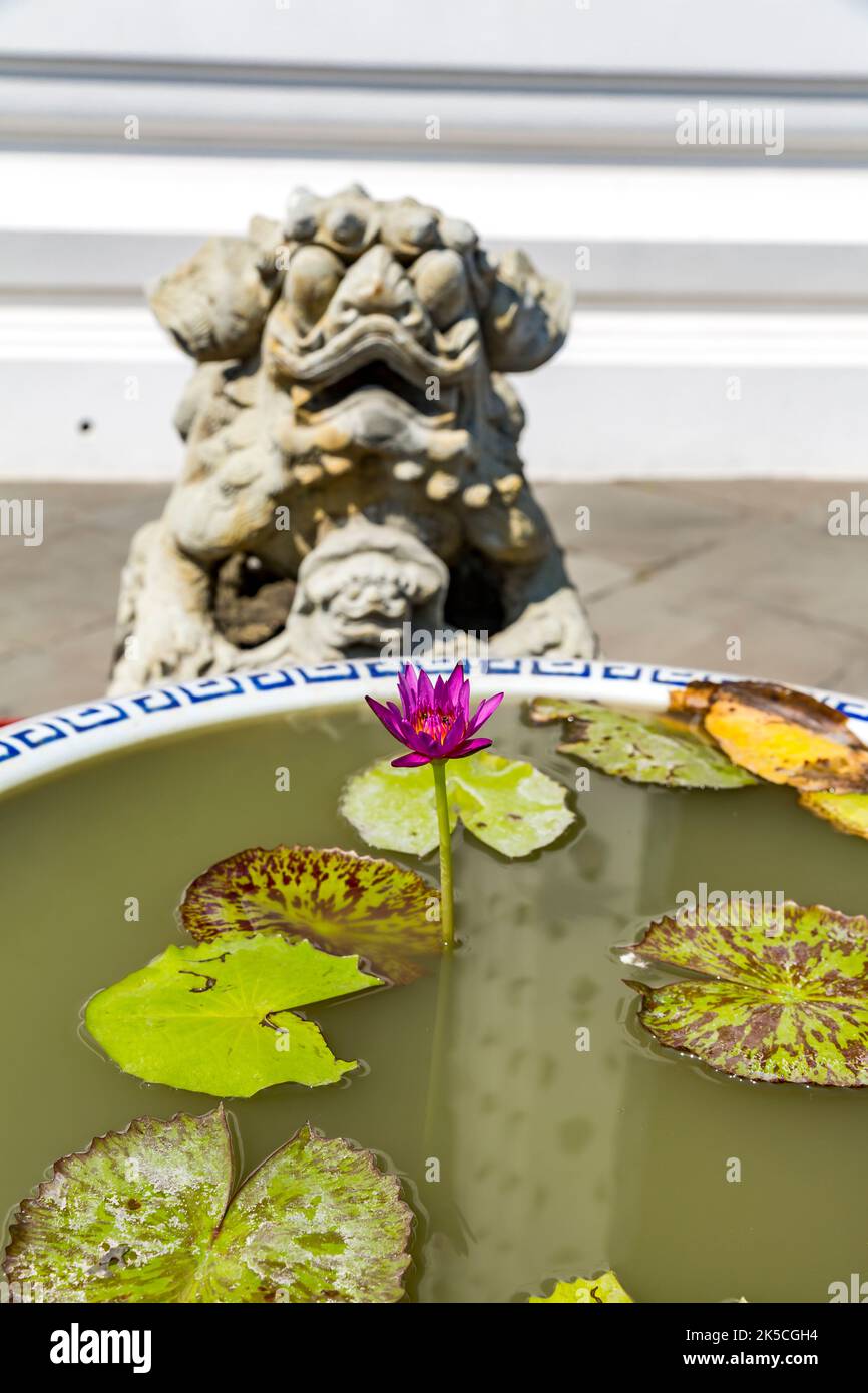 Nénuphar rose avec dragon chinois, sculpture en pierre, Wat Arun, Temple de l'Aube, Bangkok, Thaïlande, Asie Banque D'Images