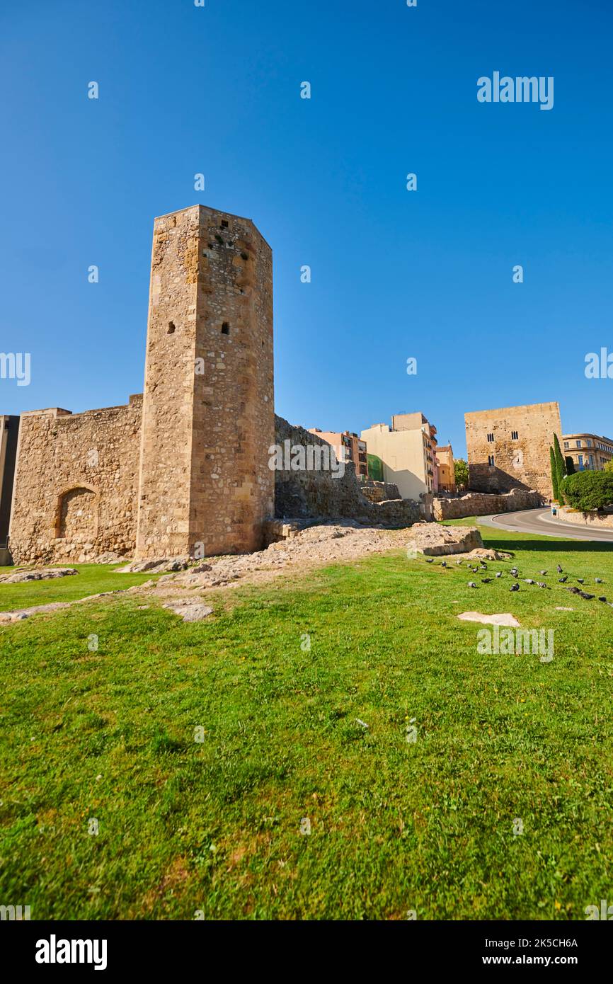 Ruines du cirque romain 'Circ Romà' dans le centre historique de Tarragone, Catalogne, Espagne, Europe Banque D'Images