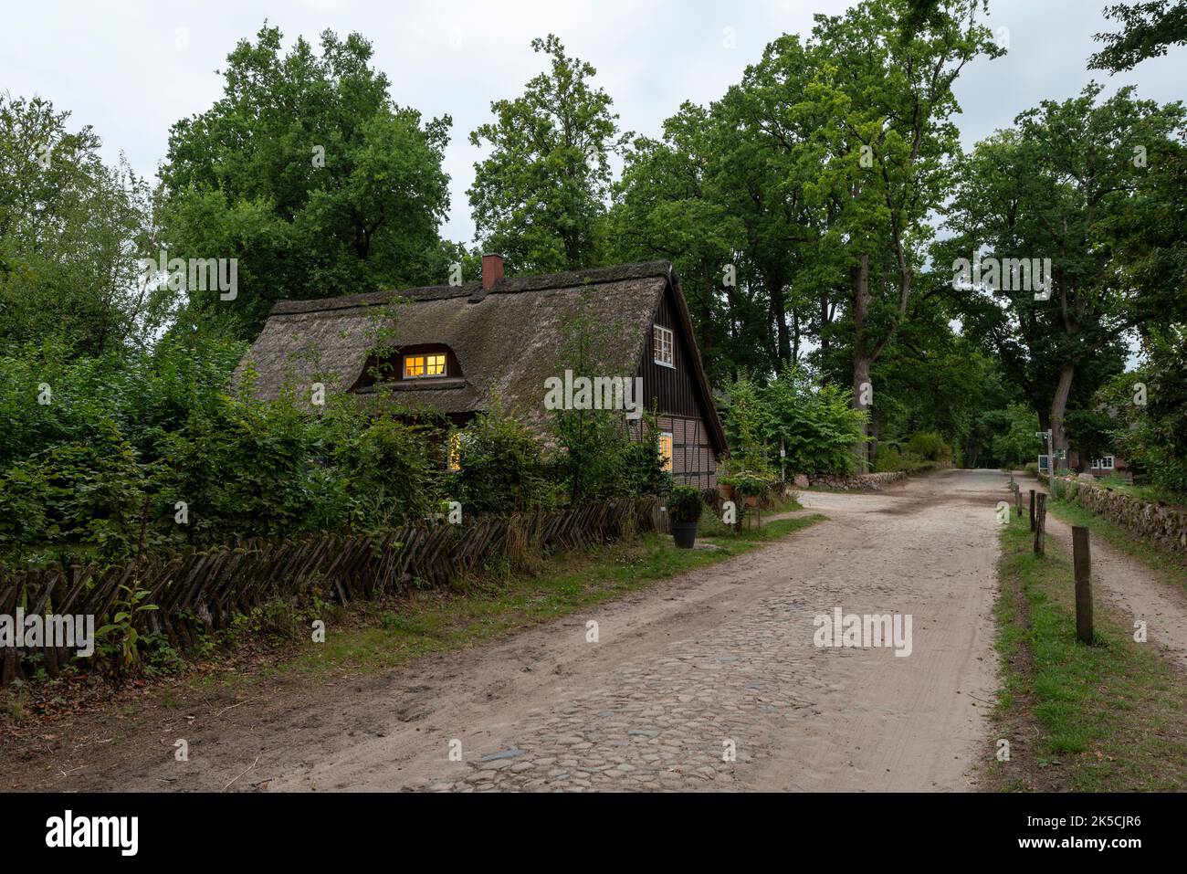 Maison de chaume, fenêtres éclairées, Dorfstraße, Wilsede, Lüneburger Heide, Basse-Saxe, Allemagne Banque D'Images