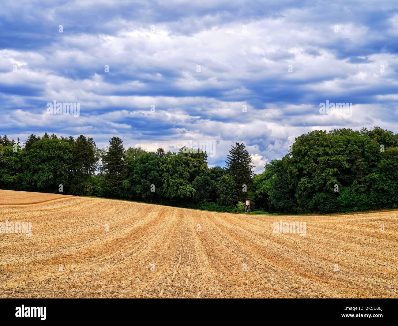Paysage de terrain avec forêt, Friedberg en Bavière, Allemagne Banque D'Images