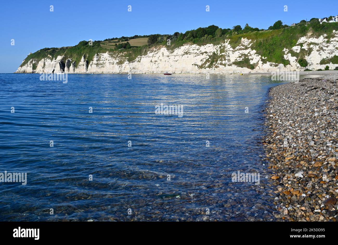Bière Devon avec falaises de craie et plage de galets Banque D'Images