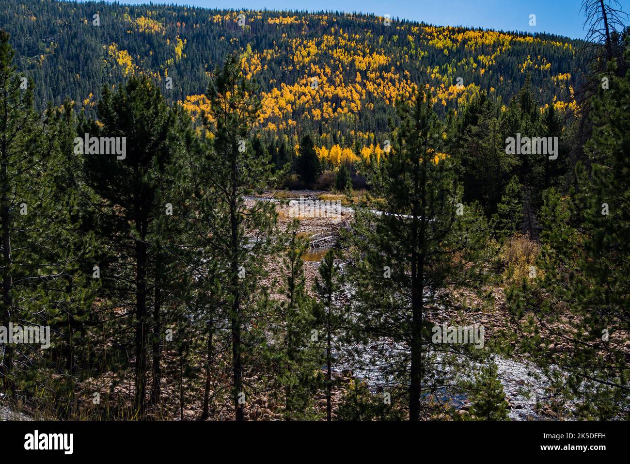 Couleurs d'automne le long de Mirror Lake Hwy. Dans le nord de l'Utah, aux États-Unis. Banque D'Images