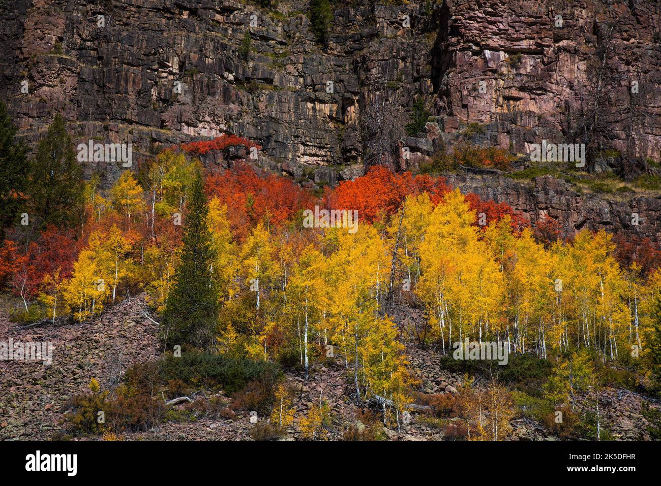 Couleurs d'automne le long de Mirror Lake Hwy. Dans le nord de l'Utah, aux États-Unis. Banque D'Images