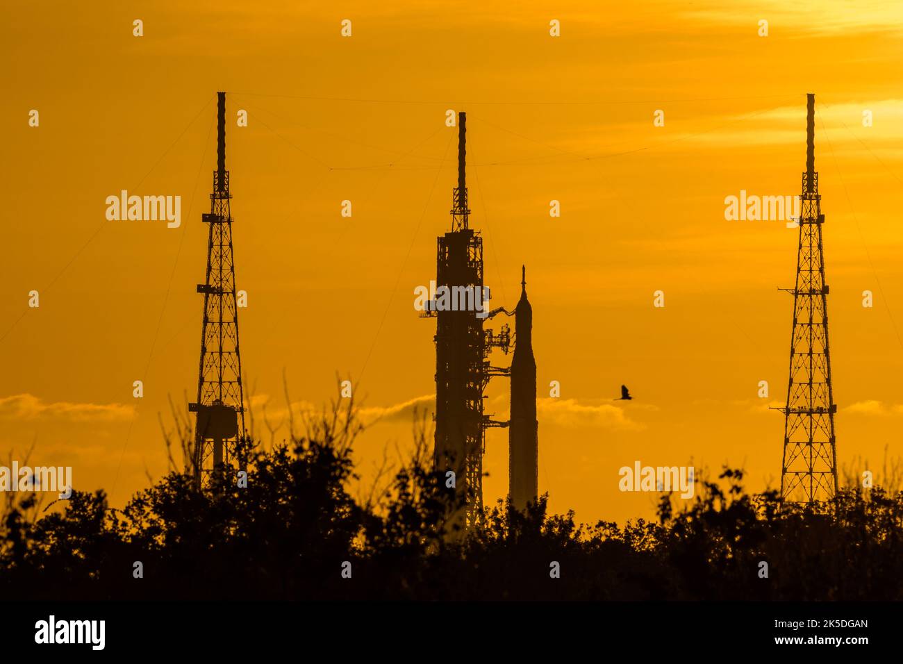 La fusée SLS de la NASA avec le vaisseau spatial Orion au sommet d’un lanceur mobile sur la plateforme de lancement 39B pour le pré-lancement d’Artemis I au Kennedy Space Center, en Floride ; un oiseau est visible près de la plateforme. Banque D'Images