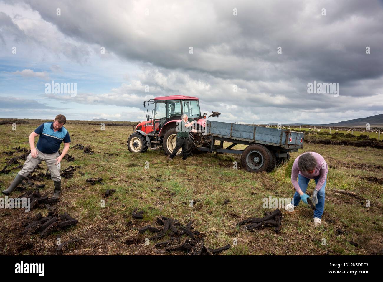 Mont Jubilé, comté de Mayo, Irlande, 6-21-2019. Récolte de gazon en Irlande du Nord-Ouest Banque D'Images