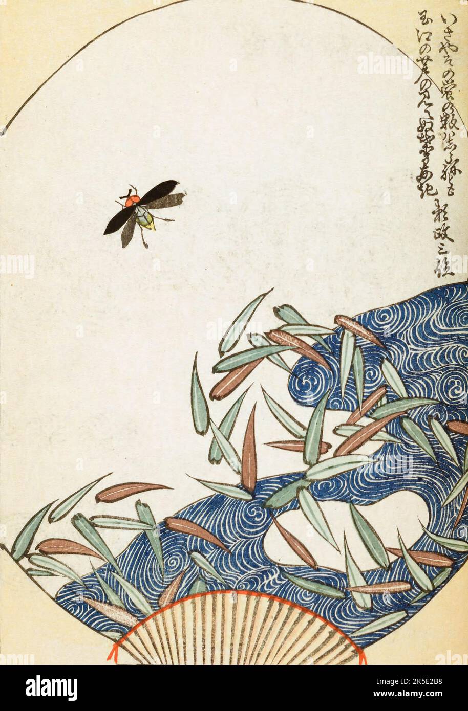 Concevoir avec un insecte volant au-dessus de l'eau. La langue japonaise Shin-Bijutsukai design magazine 1901-1902, a été édité par l'illustrateur et designer Korin Furuya (1875-1910) et contient les dessins des meilleurs artistes de l'époque. Peintre de Meji, Korin a enseigné à l'École municipale des arts et de l'artisanat, et a été l'un des plus importants designers d'impression de blocs de bois de l'époque. Une impression optimisée et améliorée de Shin-Bijutsukai Design Magazine, Volume 1. Banque D'Images