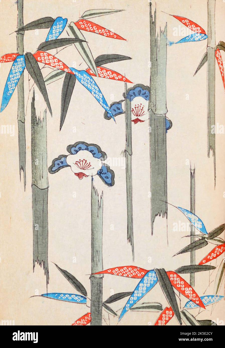 Dessin de bambou, fleurs, feuilles. La langue japonaise Shin-Bijutsukai design magazine 1901-1902, a été édité par l'illustrateur et designer Korin Furuya (1875-1910) et contient les dessins des meilleurs artistes de l'époque. Peintre de Meji, Korin a enseigné à l'École municipale des arts et de l'artisanat, et a été l'un des plus importants designers d'impression de blocs de bois de l'époque. Une impression optimisée et améliorée de Shin-Bijutsukai Design Magazine, Volume 1. Banque D'Images