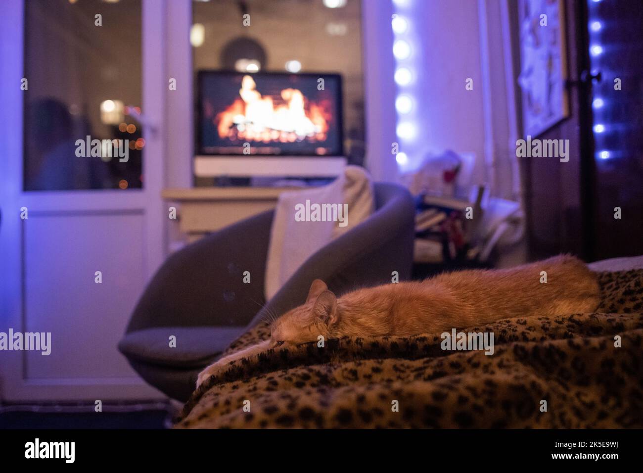 red cat se trouve sur le canapé, sur le fond d'un moniteur avec une cheminée, dans un bel éclairage de soirée. Banque D'Images
