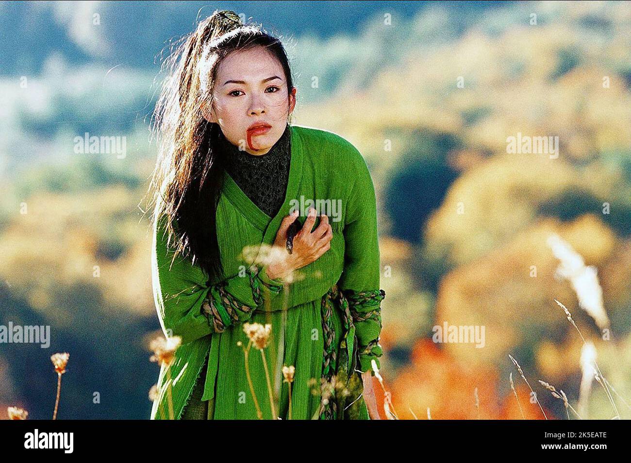 ZHANG ZIYI, HOUSE OF FLYING DAGGERS, 2004 Banque D'Images