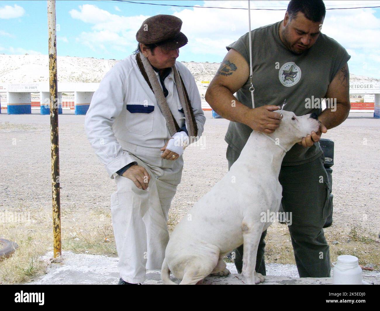 JUAN VILLEGAS, WALTER DONADO, chien, BOMBON EL PERRO : EL PERRO, 2004 Banque D'Images