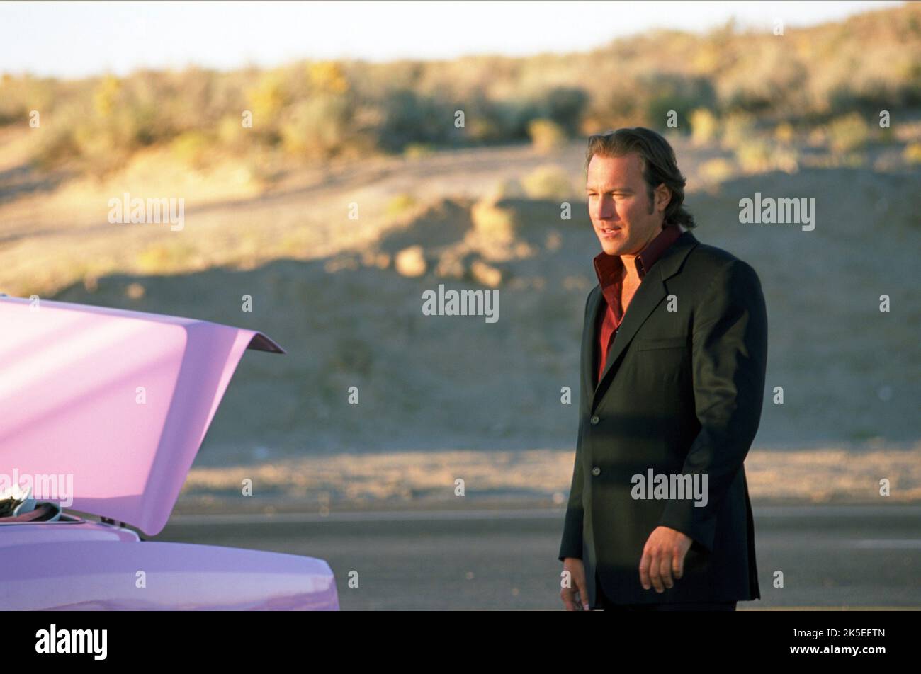 JOHN CORBETT, ELVIS A QUITTÉ LE BÂTIMENT, 2004 Banque D'Images