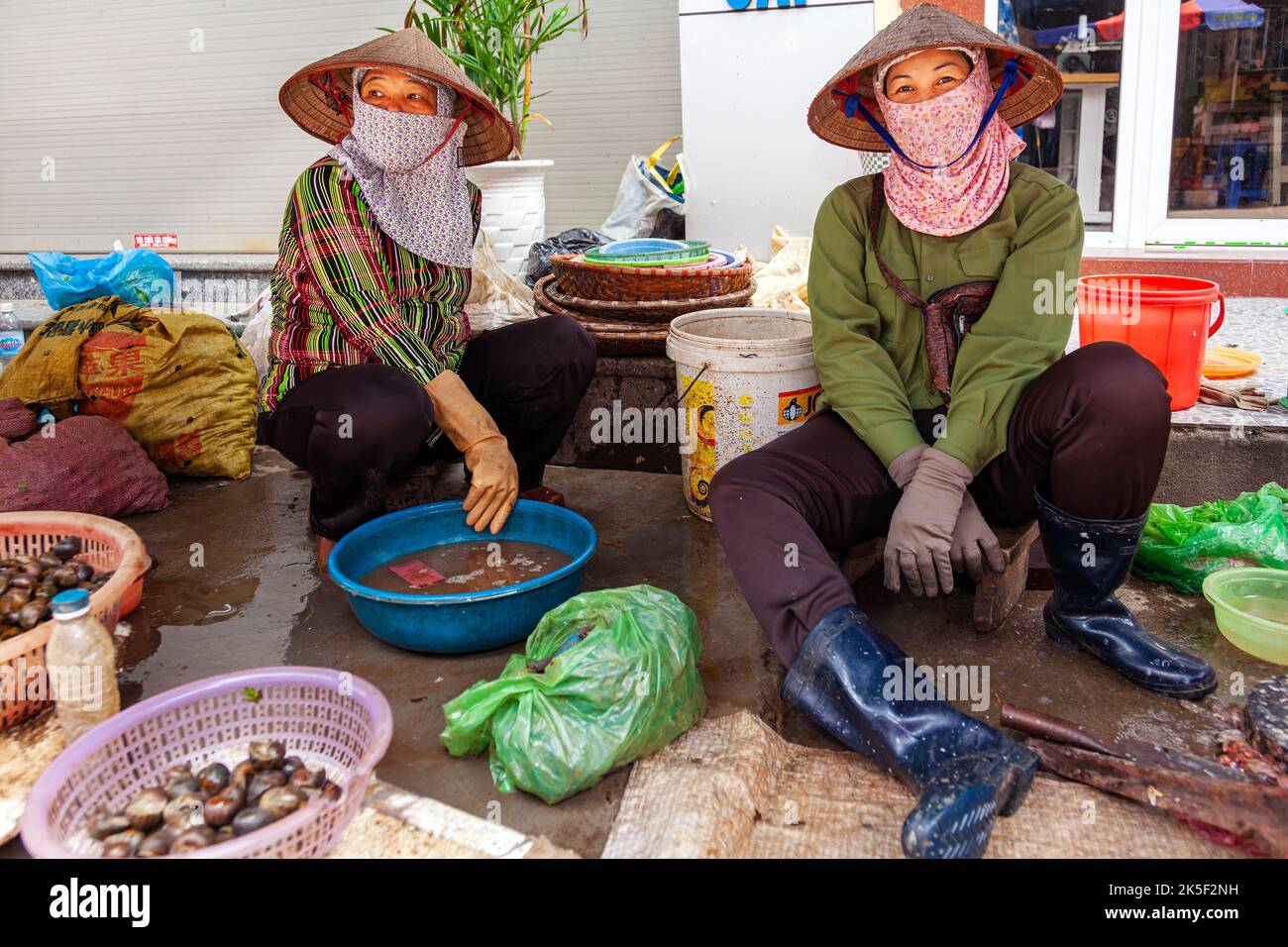 Des motards vietnamiens portant des chapeaux en bambou vendant du poisson et des fruits de mer dans le marché de rue, Hai Phong, Vietnam Banque D'Images