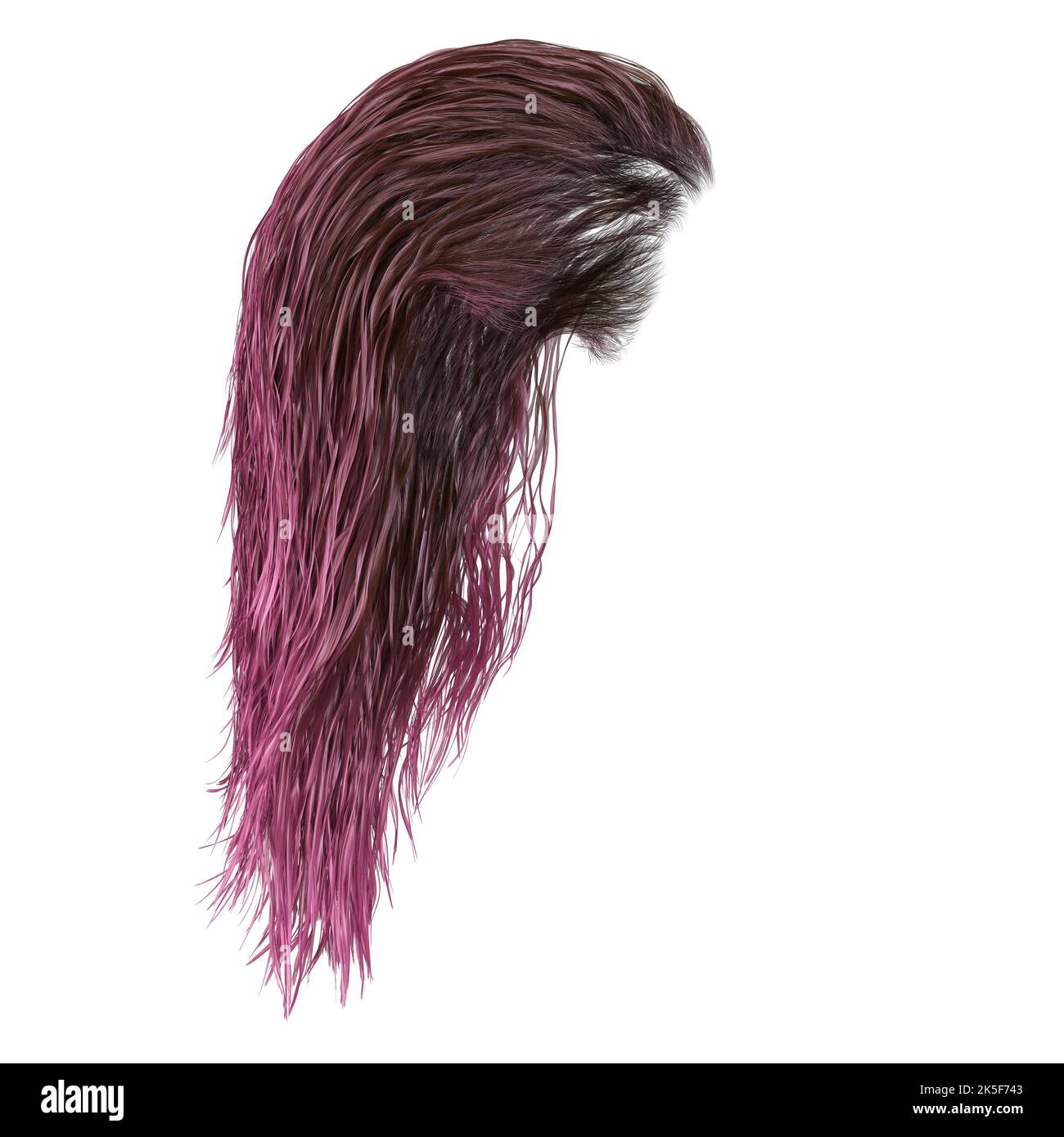 Cheveux humides fantaisie longs sur fond blanc isolé, rendu 3D, illustration 3D Banque D'Images